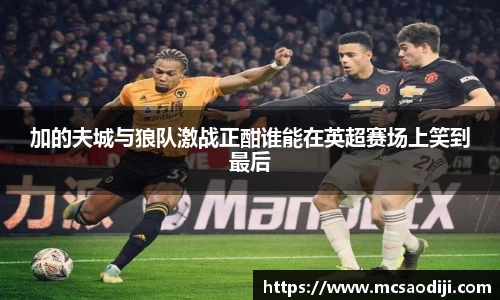 加的夫城与狼队激战正酣谁能在英超赛场上笑到最后
