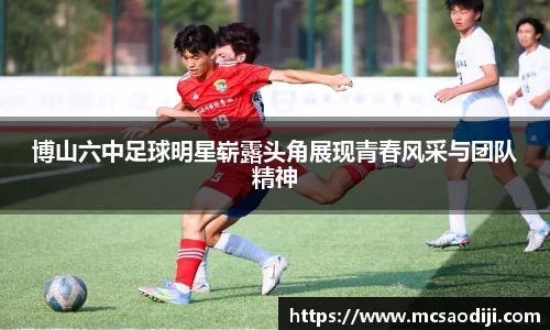 jn江南·体育登录入口