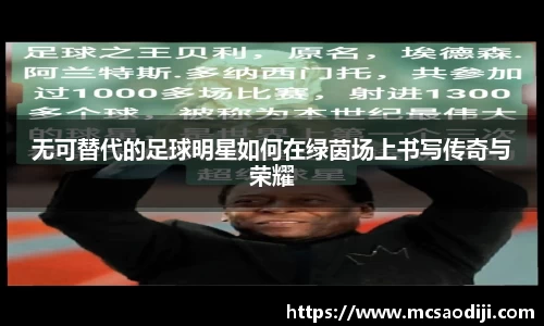 jn江南·体育登录入口